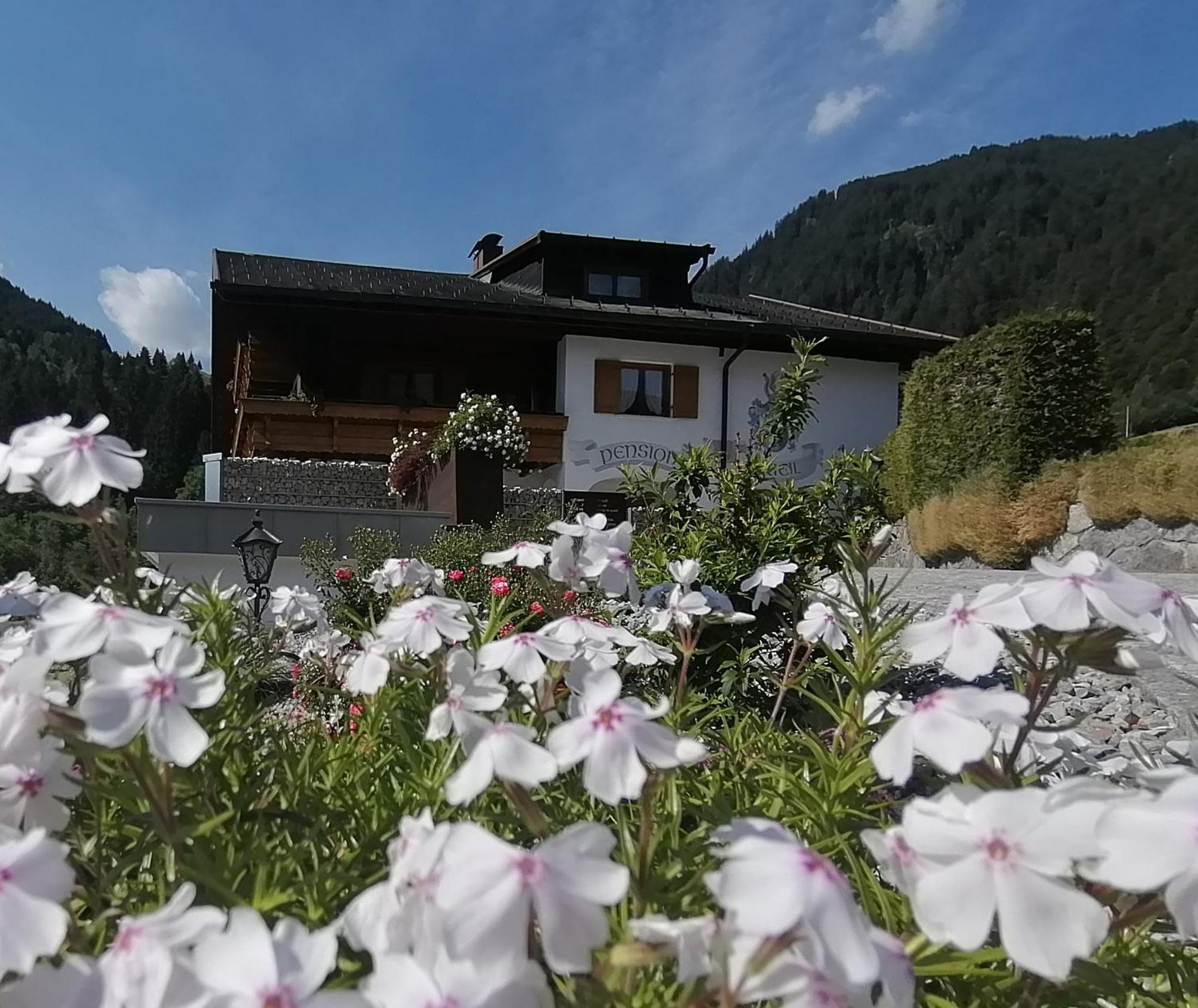 Fruehstueckspension Gweil Sankt Gallenkirch Buitenkant foto