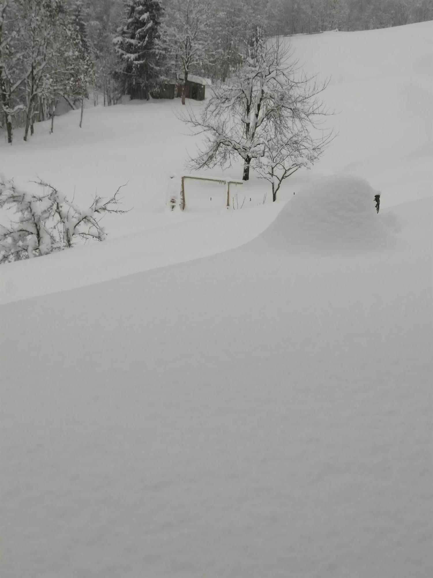 Fruehstueckspension Gweil Sankt Gallenkirch Buitenkant foto