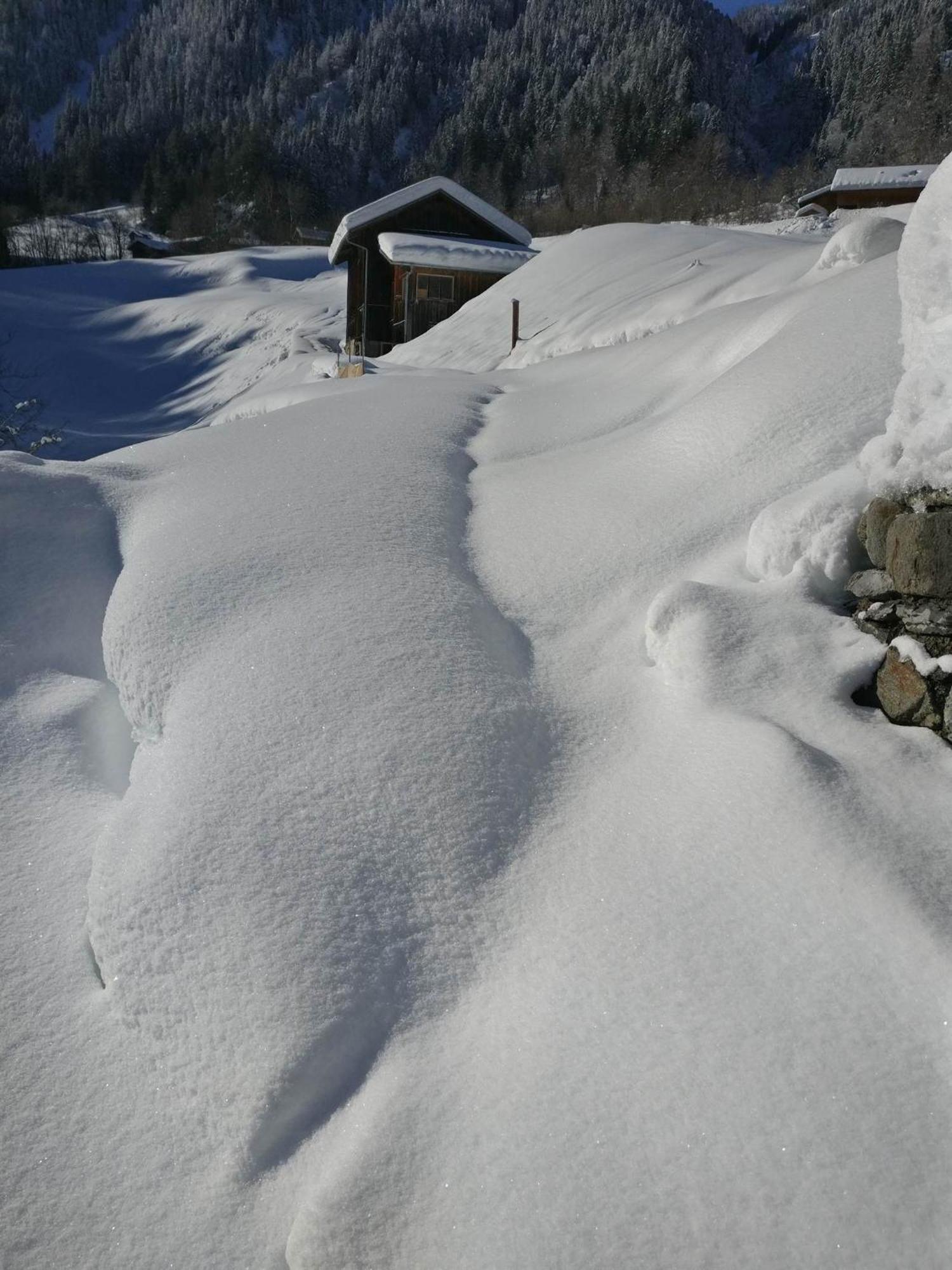 Fruehstueckspension Gweil Sankt Gallenkirch Buitenkant foto